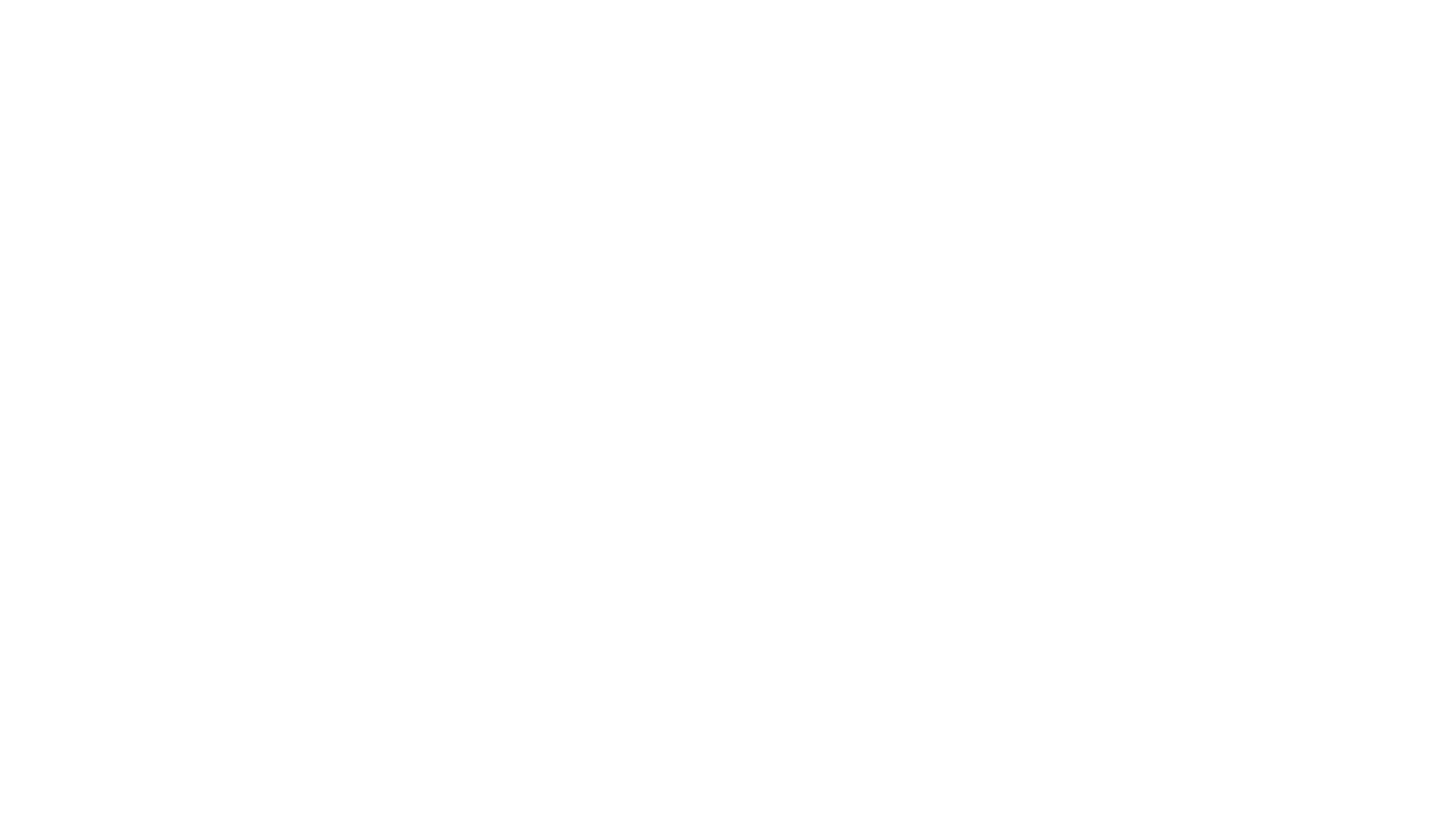 Experinvest